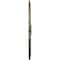 Ekena Millwork Attica Acanthus Leaf Medallion (Canopies up to 3 1/4"), 30 1/8"OD x 1 1/2"P, Witch Hazel Crackle CM30ATWHC - alternate 2
